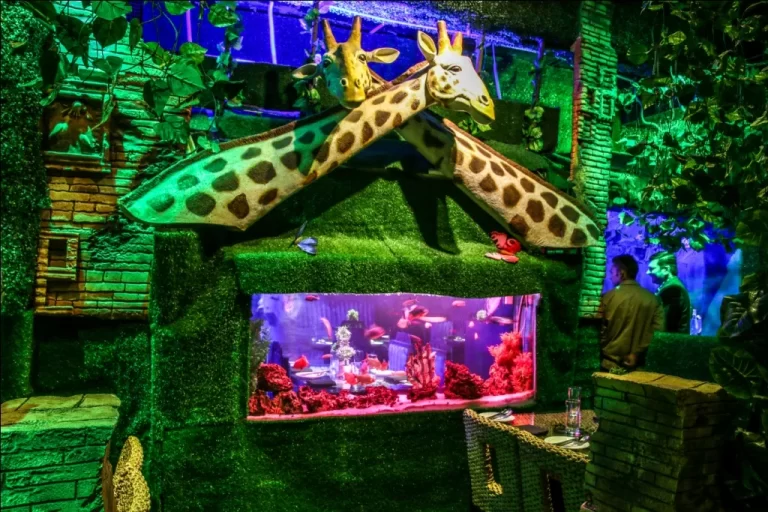 Jungle Jamboree - Jungle & Aqua Themed Restaurant, Gurgaon