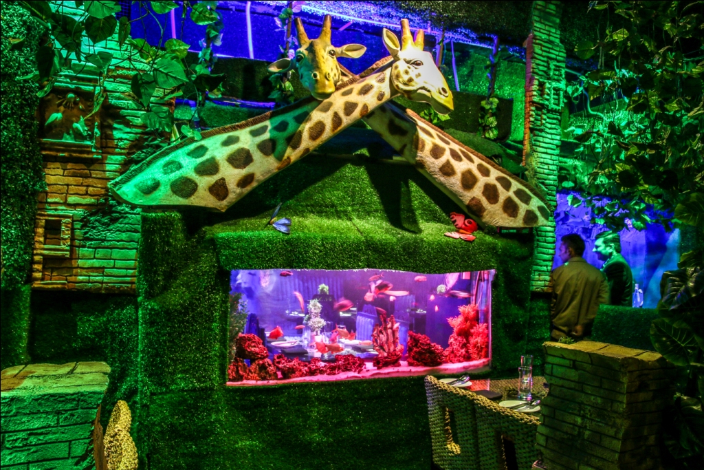 Jungle Jamboree - Jungle & Aqua Themed Restaurant, Gurgaon